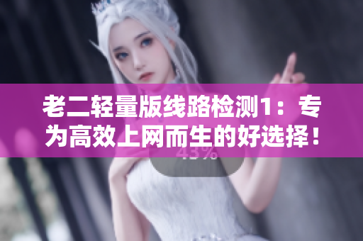 老二轻量版线路检测1：专为高效上网而生的好选择！