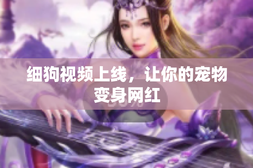细狗视频上线，让你的宠物变身网红