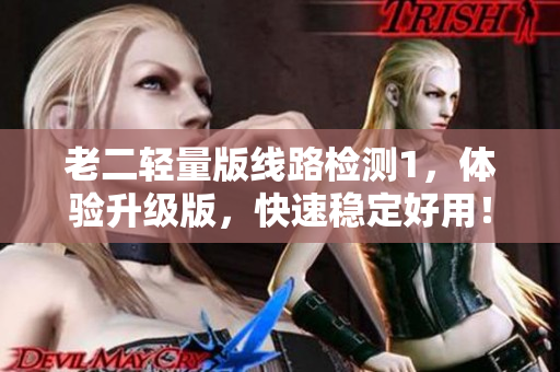 老二轻量版线路检测1，体验升级版，快速稳定好用！