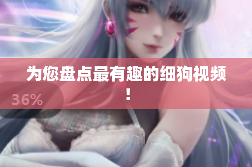 为您盘点最有趣的细狗视频！