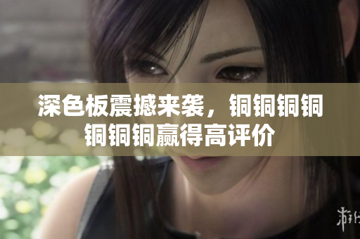 深色板震撼来袭，铜铜铜铜铜铜铜赢得高评价