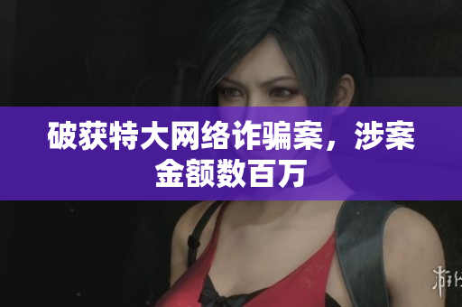 破获特大网络诈骗案，涉案金额数百万