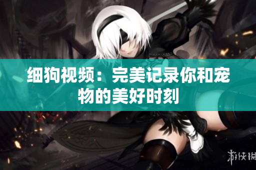 细狗视频：完美记录你和宠物的美好时刻