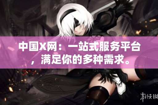 中国X网：一站式服务平台，满足你的多种需求。