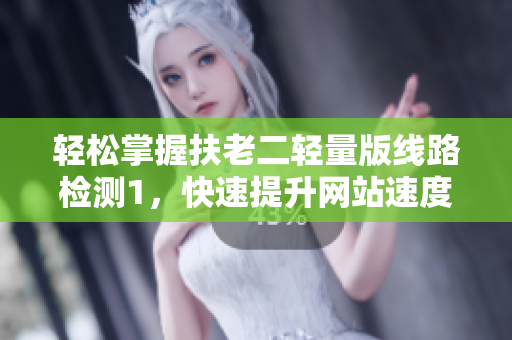 轻松掌握扶老二轻量版线路检测1，快速提升网站速度