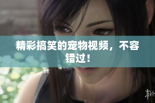 精彩搞笑的宠物视频，不容错过！