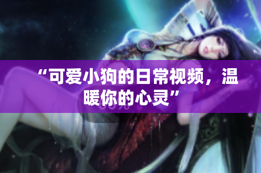“可爱小狗的日常视频，温暖你的心灵”
