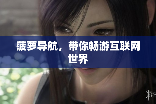 菠萝导航，带你畅游互联网世界