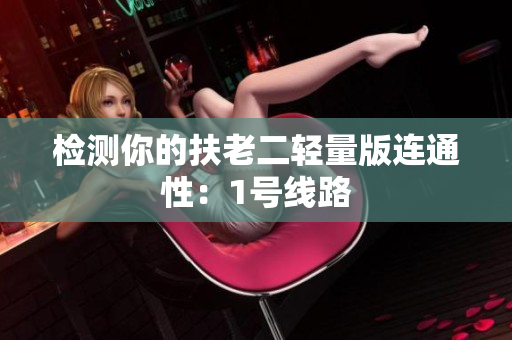 检测你的扶老二轻量版连通性：1号线路