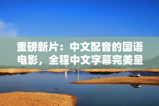 重磅新片：中文配音的国语电影，全程中文字幕完美呈现