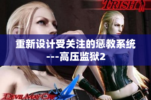 重新设计受关注的惩教系统---高压监狱2