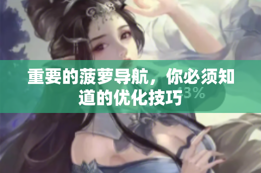 重要的菠萝导航，你必须知道的优化技巧