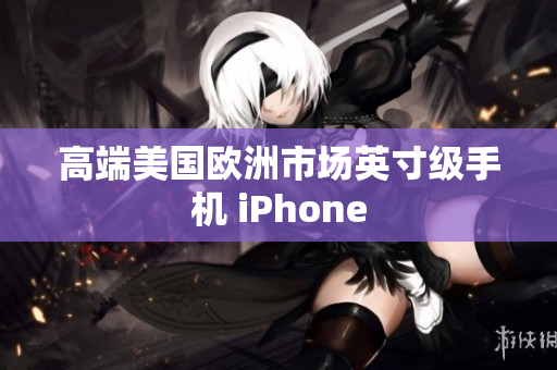 高端美国欧洲市场英寸级手机 iPhone