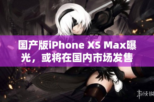国产版iPhone XS Max曝光，或将在国内市场发售