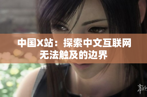 中国X站：探索中文互联网无法触及的边界
