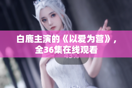 白鹿主演的《以爱为营》，全36集在线观看
