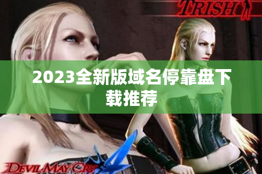 2023全新版域名停靠盘下载推荐